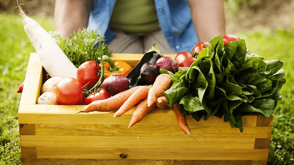 Rio Negro participa da VI Conferência Estadual de Segurança Alimentar e Nutricional